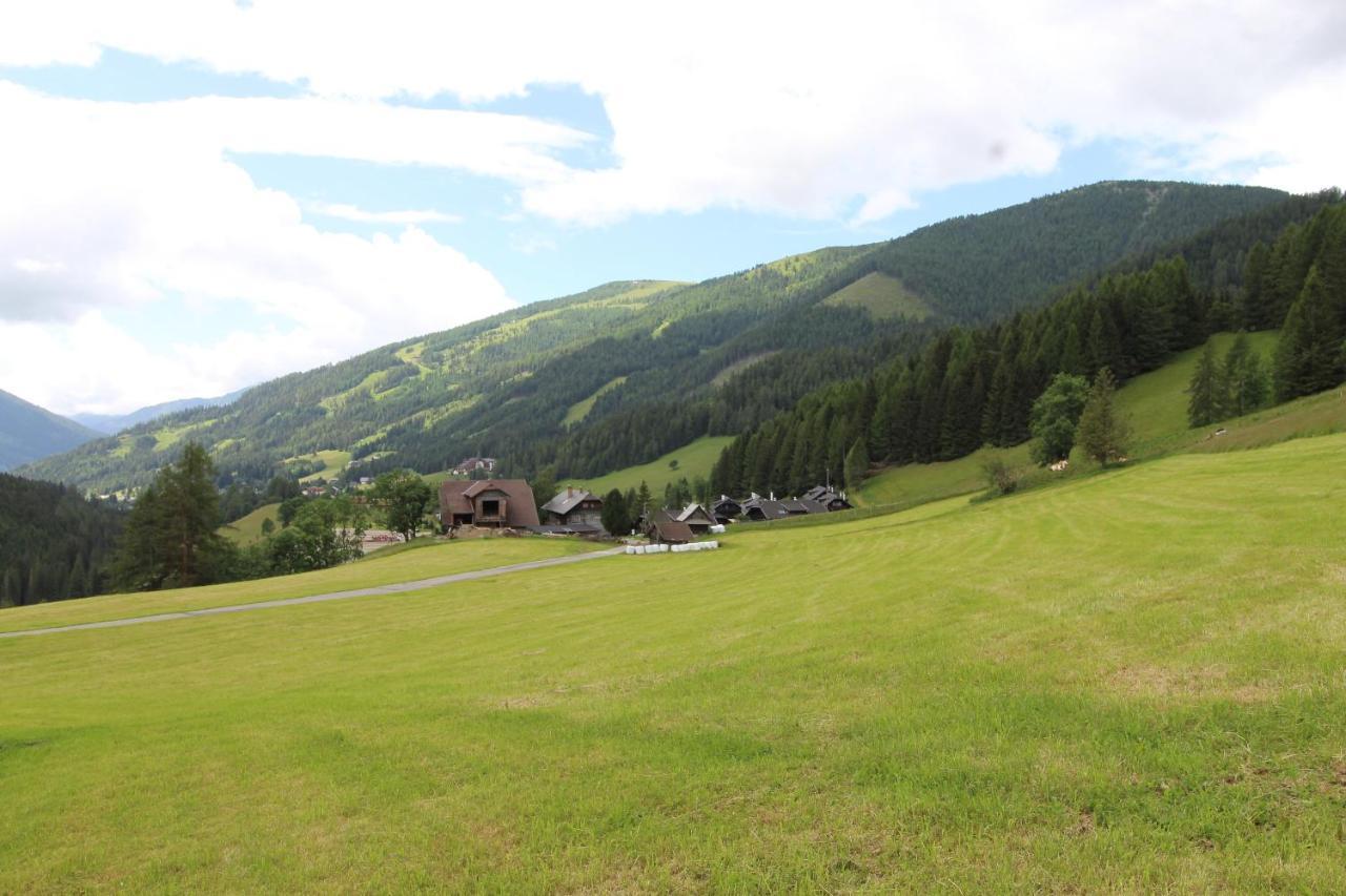 Chalet Mallnock Apartment Bad Kleinkirchheim Bagian luar foto